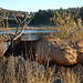 Scott Estes Photo 42