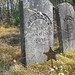 John Warring Photo 33