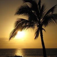 John Rosko Photo 4