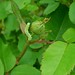 Louise Gast Photo 17