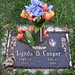Lynda Cooper Photo 37