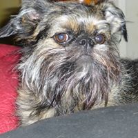Peggy Willis Photo 1