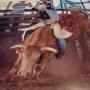 Kevin Holley Photo 28
