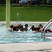 Mary Proulx Photo 38