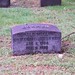 Donald Mcclure Photo 32