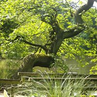 Brenda Cartwright Photo 5