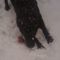 Morgan Clarke Photo 6
