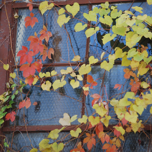 Christine Walton Photo 13