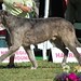 Steven Strohm Photo 16