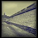 Victor Fortin Photo 13