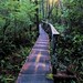Ki Park Photo 41