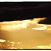 Dawn Monteiro Photo 18