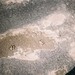 Jan Parrish Photo 35