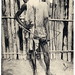 Ivory Hunter Photo 19