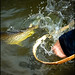 Carroll Lucas Photo 19