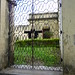 Michael Dutt Photo 25