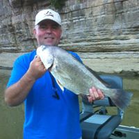 Todd Marcum Photo 7