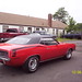 Frank Cuda Photo 30
