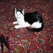 Bruce Feathers Photo 10