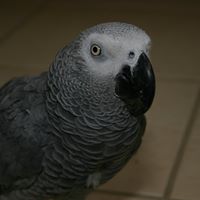 Jerald Greenberg Photo 1