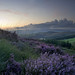 Heather Moor Photo 27