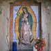Michael Guadalupe Photo 39