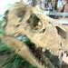 Rex Stevens Photo 36
