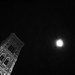 Florence Luna Photo 23