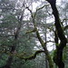Garry Royal Photo 9