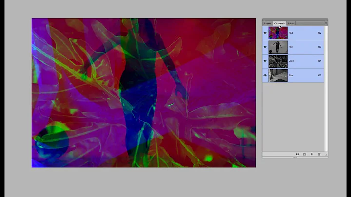 James Welling Photo 33