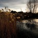 Peter Pond Photo 32