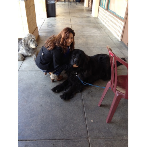 Angela Lavelle Photo 6