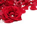 Rose Fuller Photo 36
