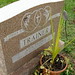 Mary Trainer Photo 23