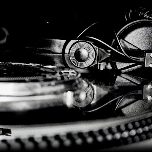 Paul Hawk Photo 14