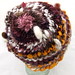 Autumn Sparks Photo 26