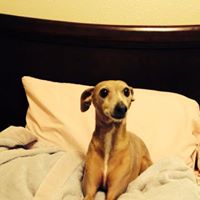 Mary Suttle Photo 8