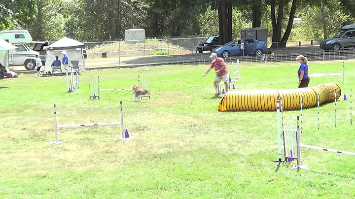 Damon Hartman Photo 11