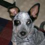 Brenda Hurley Photo 25