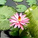 Debra Woolard Photo 17