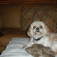 Joyce Cote Photo 7