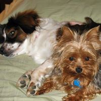Mary Wiseman Photo 6