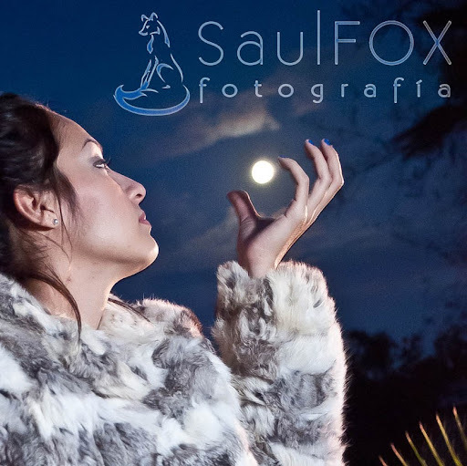 Saul Fox Photo 8