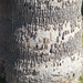 Karl Palm Photo 27