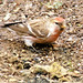 Keith Taylor Photo 61