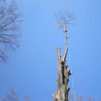 Bruce Elkins Photo 5