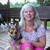 Robin Braswell Photo 1