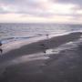 Richard Sisk Photo 21