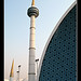 Syed Baksh Photo 20