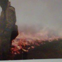 Eugene Henry Photo 3